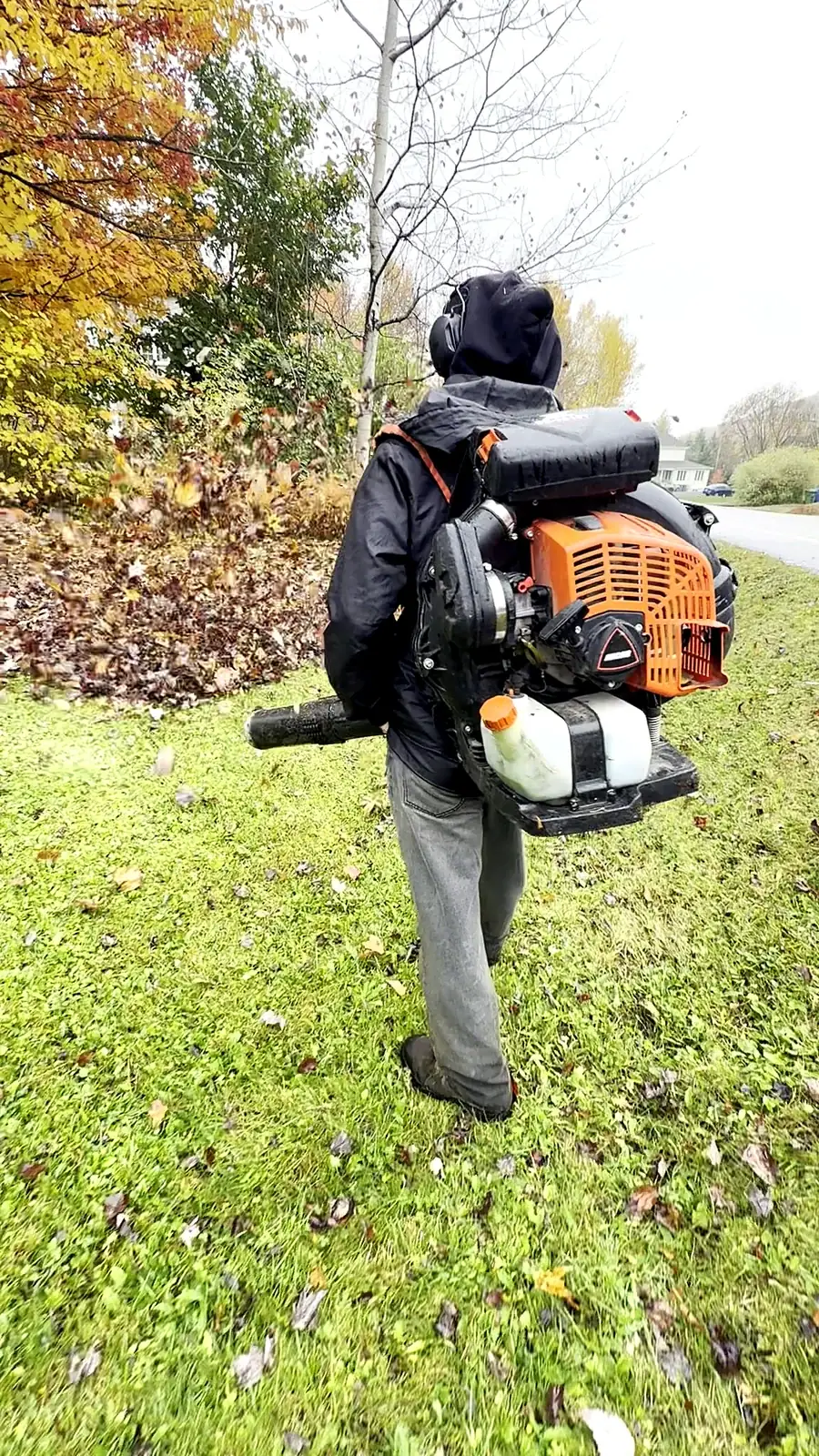 Ramassage de feuilles — Entretiens Dubreuil